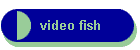 video fish