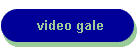 video gale