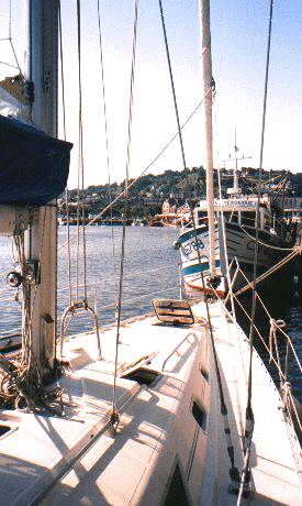 sail14.GIF (90425 bytes)